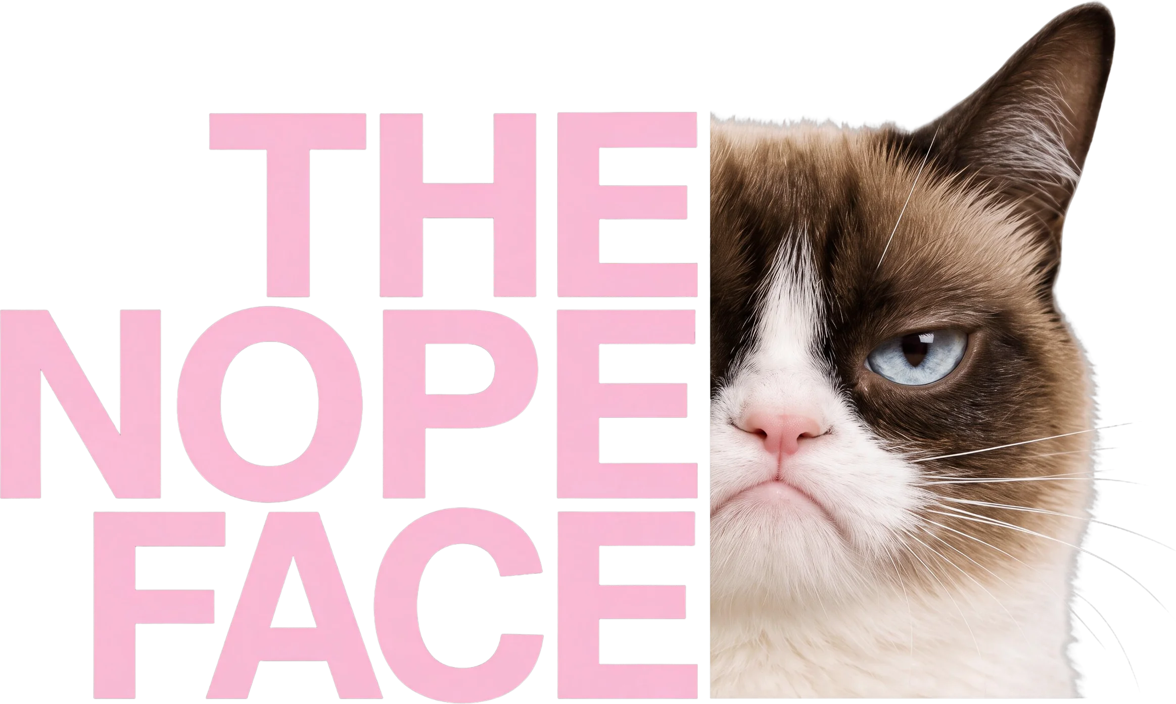 唔鍾意貓臉（The Nope Face）AI 寵物海報範例